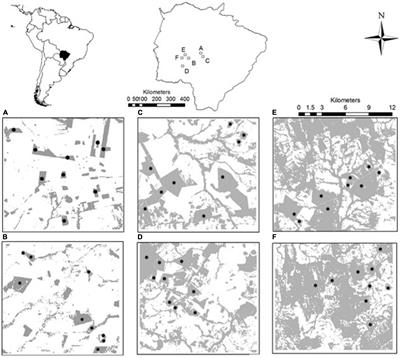 The Role of Habitat Amount and <mark class="highlighted">Vegetation Density</mark> for Explaining Loss of Small-Mammal Diversity in a South American Woodland Savanna